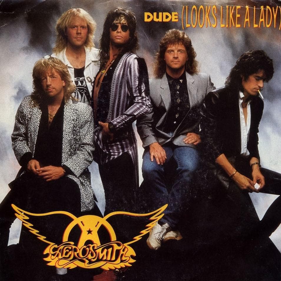 Album cover art for "Dude (Looks Like a Lady)" by Aerosmith