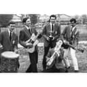 I Delfini profile picture - official artist image