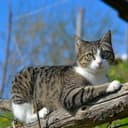 Секреты (Sekreti) profile picture - official artist image