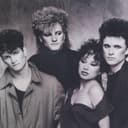 Y Kant Tori Read profile picture - official artist image