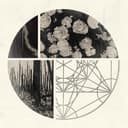 A Constant Knowledge of Death profile picture - official artist image