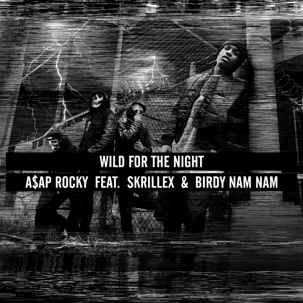 Album cover art for "Wild for the Night" by A$AP Rocky & Birdy Nam Nam & Skrillex